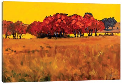 Red Trees Canvas Art Print - Jenny Lee