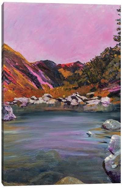 Sunset In The Wichitas Canvas Art Print - Pops of Pink