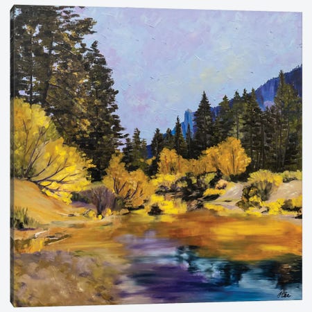 Yosemite Gold Canvas Print #JYE19} by Jenny Lee Canvas Print