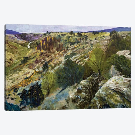Rio Grande Gorge Canvas Print #JYE24} by Jenny Lee Canvas Print