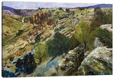 Rio Grande Gorge Canvas Art Print - Jenny Lee