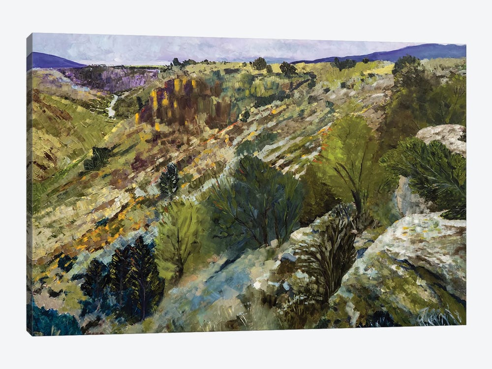 Rio Grande Gorge by Jenny Lee 1-piece Canvas Artwork