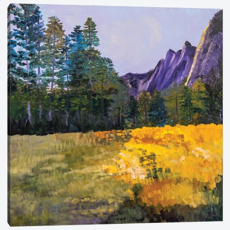 Yosemite Morning Canvas Print #JYE25} by Jenny Lee Art Print