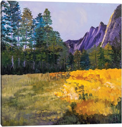 Yosemite Morning Canvas Art Print - Yosemite National Park Art