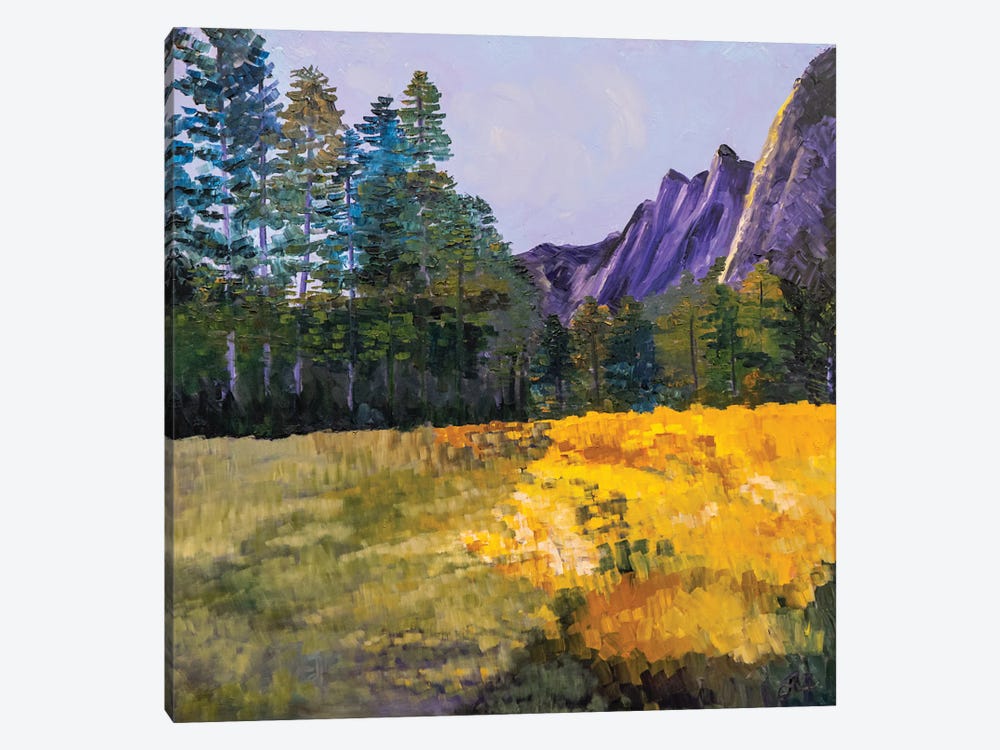 Yosemite Morning by Jenny Lee 1-piece Canvas Art Print