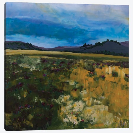Foothill Bloom Canvas Print #JYE28} by Jenny Lee Canvas Art