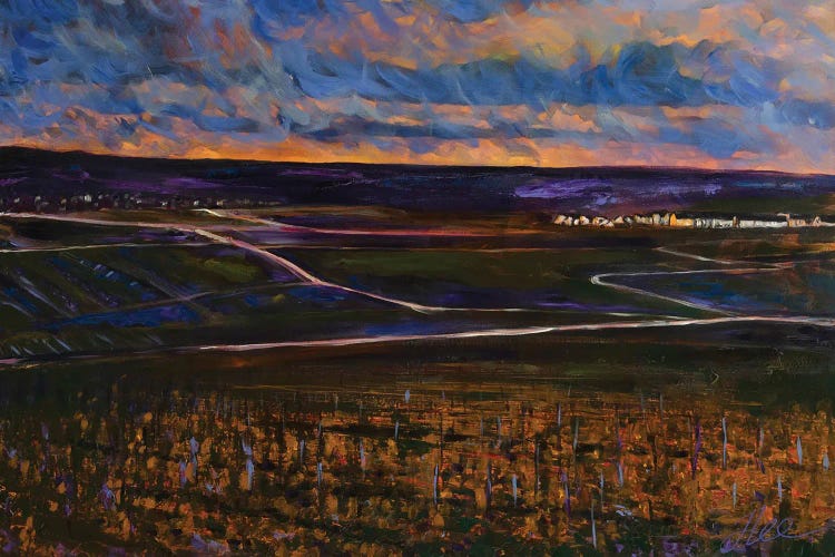 Vineyard Twilight