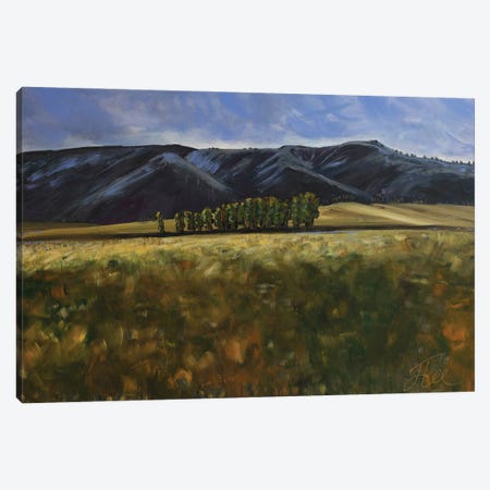 Wilson Foothills Canvas Print #JYE33} by Jenny Lee Canvas Print