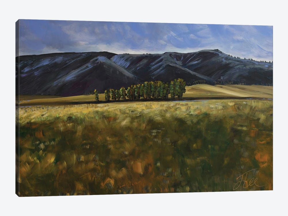 Wilson Foothills by Jenny Lee 1-piece Canvas Artwork