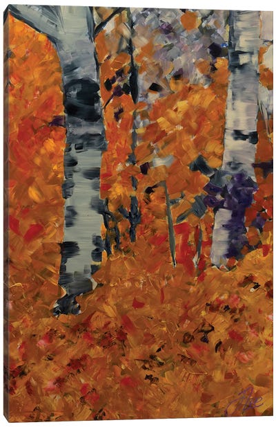 Autumn Canvas Art Print - Aspen and Birch Trees
