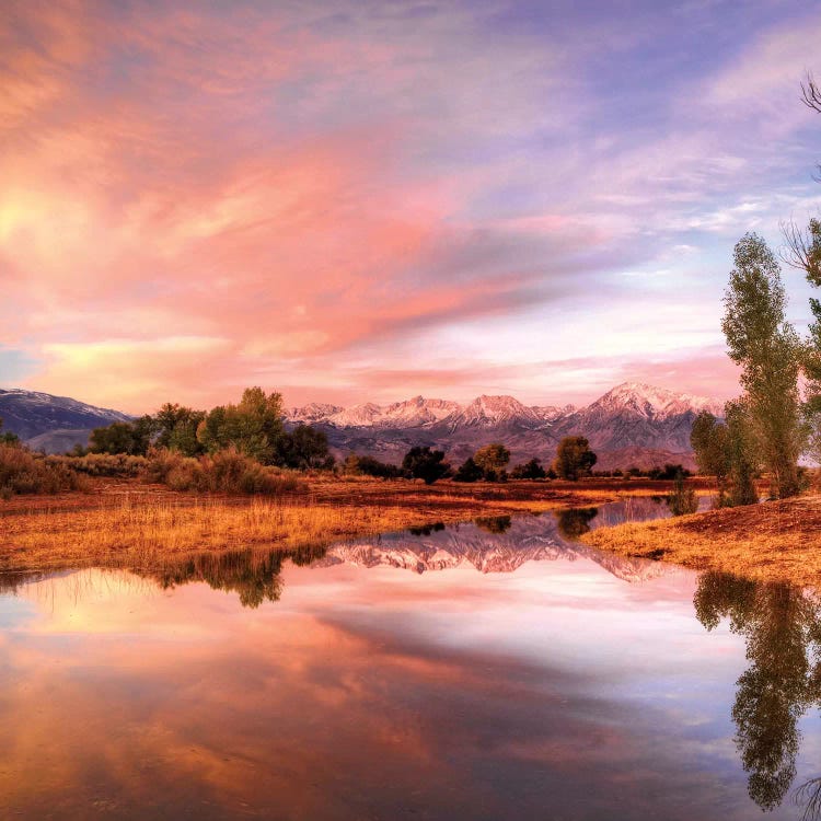 Usa, California, Bishop. Sierra Nevada Range Reflects In Pond.