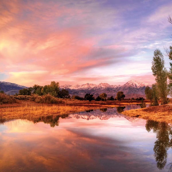 Sierra Nevada: Usa, California, Bishop. Sierra Nevada Range Reflects In Pond. by Jaynes Gallery