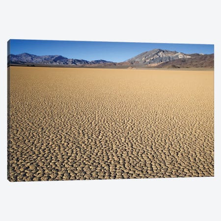 Usa, California, Death Valley National Park. Arid Playa. Canvas Print #JYG1005} by Jaynes Gallery Canvas Artwork