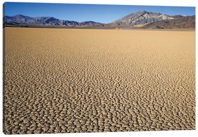 Usa, California, Death Valley National Park. Arid Playa. Canvas Art Print - Death Valley National Park Art