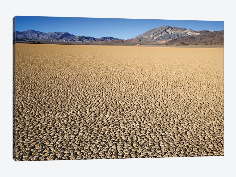 Usa, California, Death Valley National Park. Arid Playa. by Jaynes Gallery 1-piece Canvas Art