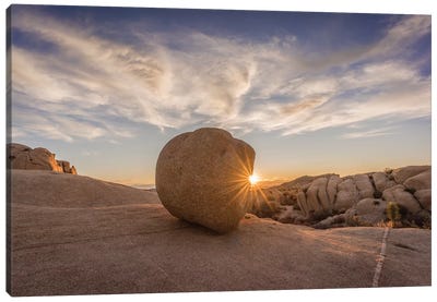 Usa, California, Joshua Tree National Park. Rocky Landscape At Sunset. Canvas Art Print - Joshua Tree National Park