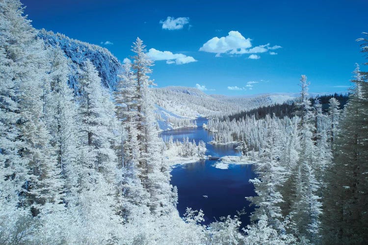 USA, California, Mammoth Lakes. Infrared overview of Twin Lakes.