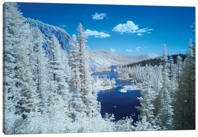 USA, California, Mammoth Lakes. Infrared overview of Twin Lakes. Canvas Art Print - Evergreen Tree Art