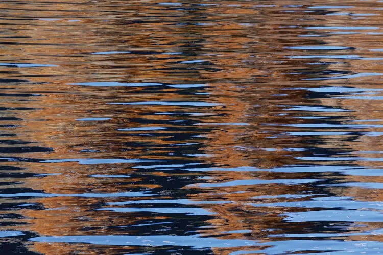 Usa, California, Sierra Nevada Range. Bishop Creek Reflects Autumn Colors.