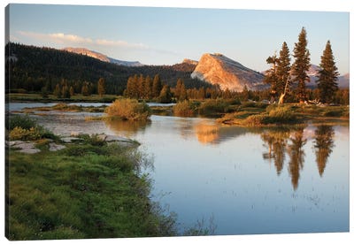 Usa, California, Yosemite National Park. Lembert Dome And Tuolumne River Landscape. Canvas Art Print - Yosemite National Park Art