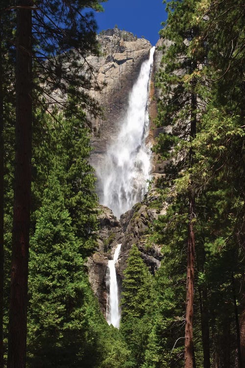 Usa, California, Yosemite National Park. Yosemite Falls Landscape.