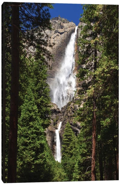 Usa, California, Yosemite National Park. Yosemite Falls Landscape. Canvas Art Print - Yosemite National Park Art