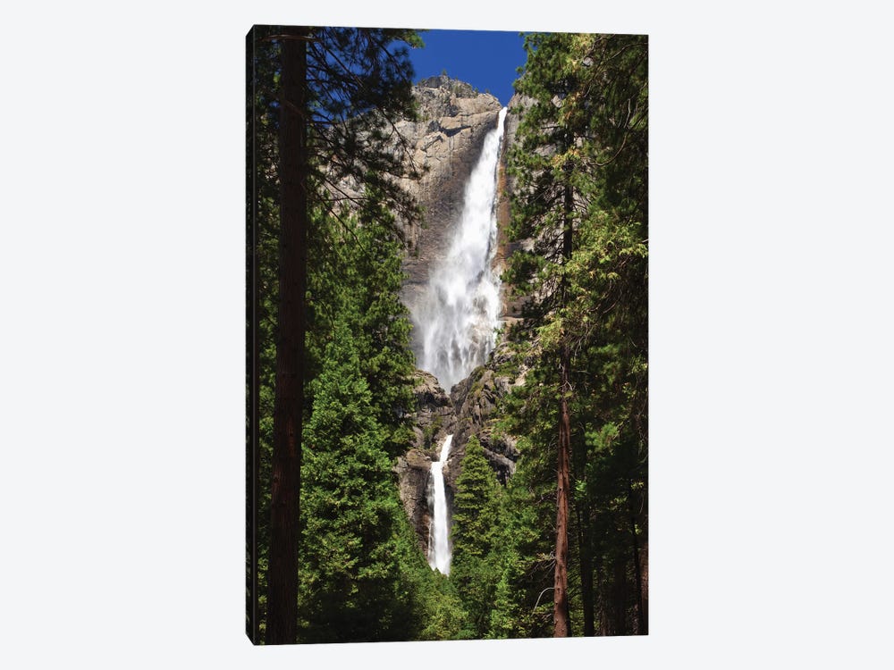 Usa, California, Yosemite National Park. Yosemite Falls Landscape. 1-piece Canvas Art