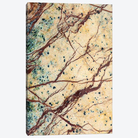 Usa, California. Detail Of Cut Slab Of Marble Rock. Canvas Print #JYG1042} by Jaynes Gallery Canvas Print