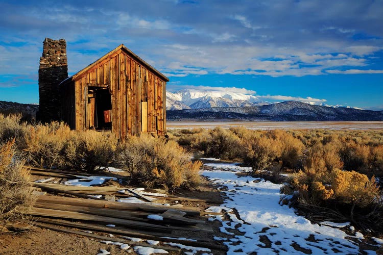 Usa, California. Ruins Of Cowboy'S Cabin In Adobe Valley.