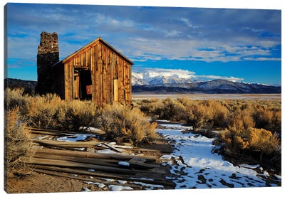Usa, California. Ruins Of Cowboy'S Cabin In Adobe Valley. Canvas Art Print - Cabins