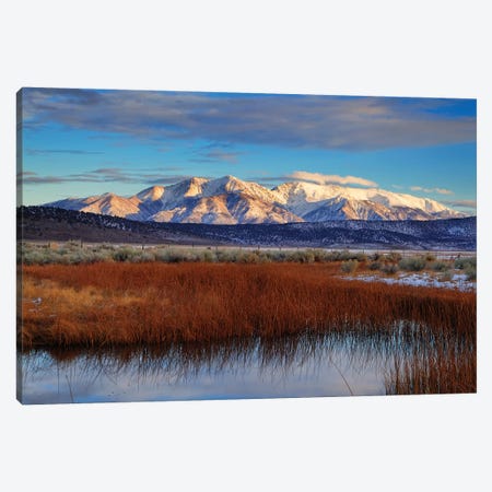 Usa, California. White Mountains And Reeds In Pond. Canvas Print #JYG1048} by Jaynes Gallery Canvas Print
