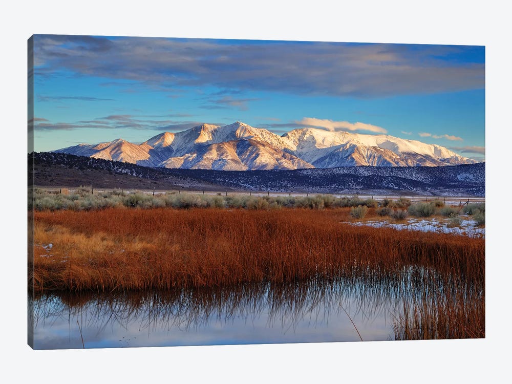 Usa, California. White Mountains And Reeds In Pond. by Jaynes Gallery 1-piece Canvas Art Print
