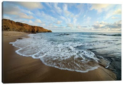 USA, California, San Diego. Beach at Sunset Cliffs Park. Canvas Art Print - Wave Art