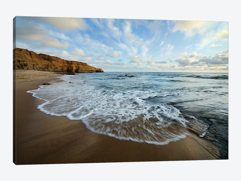 USA, California, San Diego. Beach at Sunset Cliffs Park. by Jaynes Gallery 1-piece Art Print