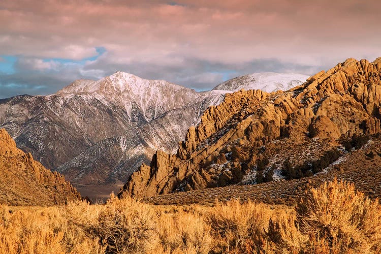 Usa, California. White Mountains Landscape.