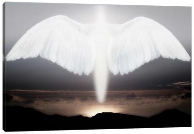 Artistic creation of angel or spirit Canvas Art Print - Wings Art