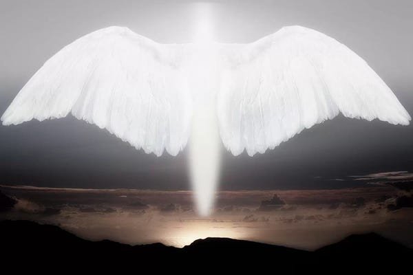 Wings: Artistic creation of angel or spirit by Jaynes Gallery