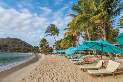 Saint Vincent & The Grenadines