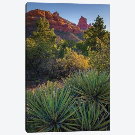 USA, Arizona, Sedona. Landscape with rock formation and cacti. Canvas Print #JYG1060} by Jaynes Gallery Canvas Art Print