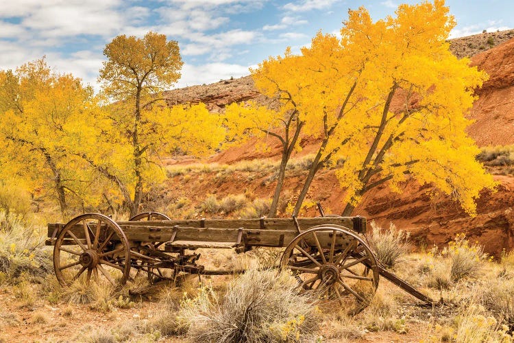 USA, Utah, Capitol Reef National Park. Old wagon and mountain and trees in autumn. by Jaynes Gallery wall art