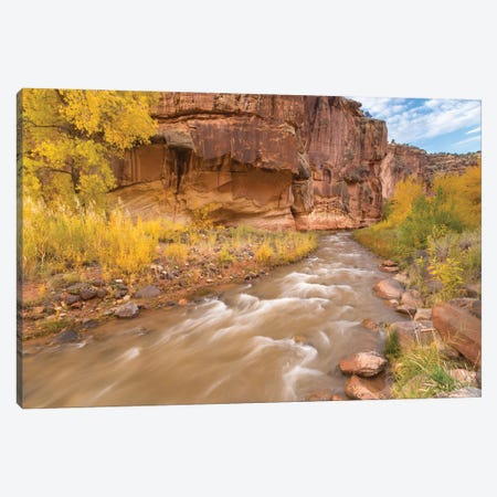 USA, Utah, Capitol Reef National Park. Fremont River and trees in autumn. Canvas Print #JYG1067} by Jaynes Gallery Canvas Artwork