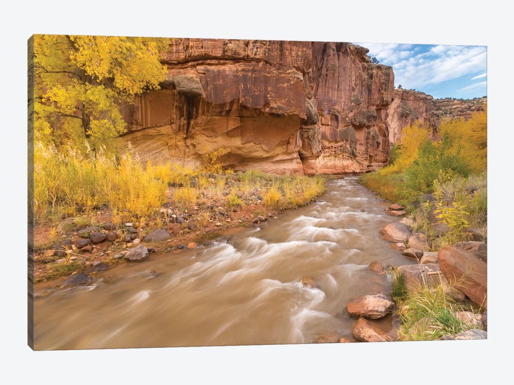 USA, Utah, Capitol Reef National Park. Fremont River and trees in autumn. by Jaynes Gallery 1-piece Canvas Art