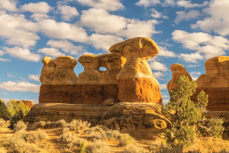 USA, Utah, Grand Staircase-Escalante National Monument. The Devil's Garden rock formation.