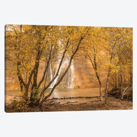 USA, Utah, Grand Staircase-Escalante National Monument. Lower Calf Creek Falls and trees. Canvas Print #JYG1069} by Jaynes Gallery Art Print