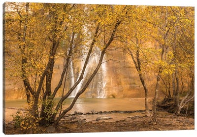 USA, Utah, Grand Staircase-Escalante National Monument. Lower Calf Creek Falls and trees. Canvas Art Print - Jaynes Gallery