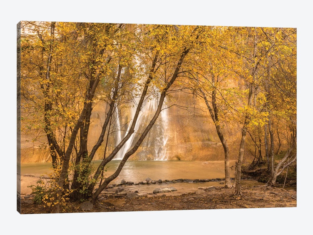 USA, Utah, Grand Staircase-Escalante National Monument. Lower Calf Creek Falls and trees. by Jaynes Gallery 1-piece Canvas Wall Art