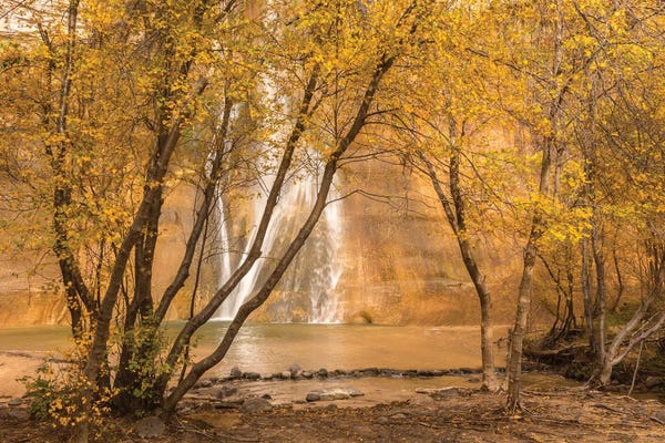 Utah: USA, Utah, Grand Staircase-Escalante National Monument. Lower Calf Creek Falls and trees. by Jaynes Gallery