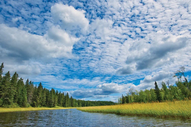 Canada, Manitoba, Whiteshell Provincial Park. River And Forest Landscape. by Jaynes Gallery wall art