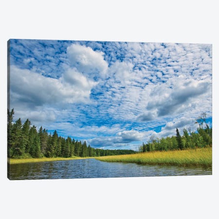 Canada, Manitoba, Whiteshell Provincial Park. River And Forest Landscape. Canvas Print #JYG1072} by Jaynes Gallery Canvas Art