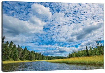 Canada, Manitoba, Whiteshell Provincial Park. River And Forest Landscape. Canvas Art Print - Jaynes Gallery